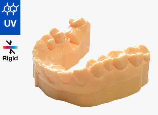 DL-Dental-Model - Resina Rigida per stampa 3D - Qi Factory